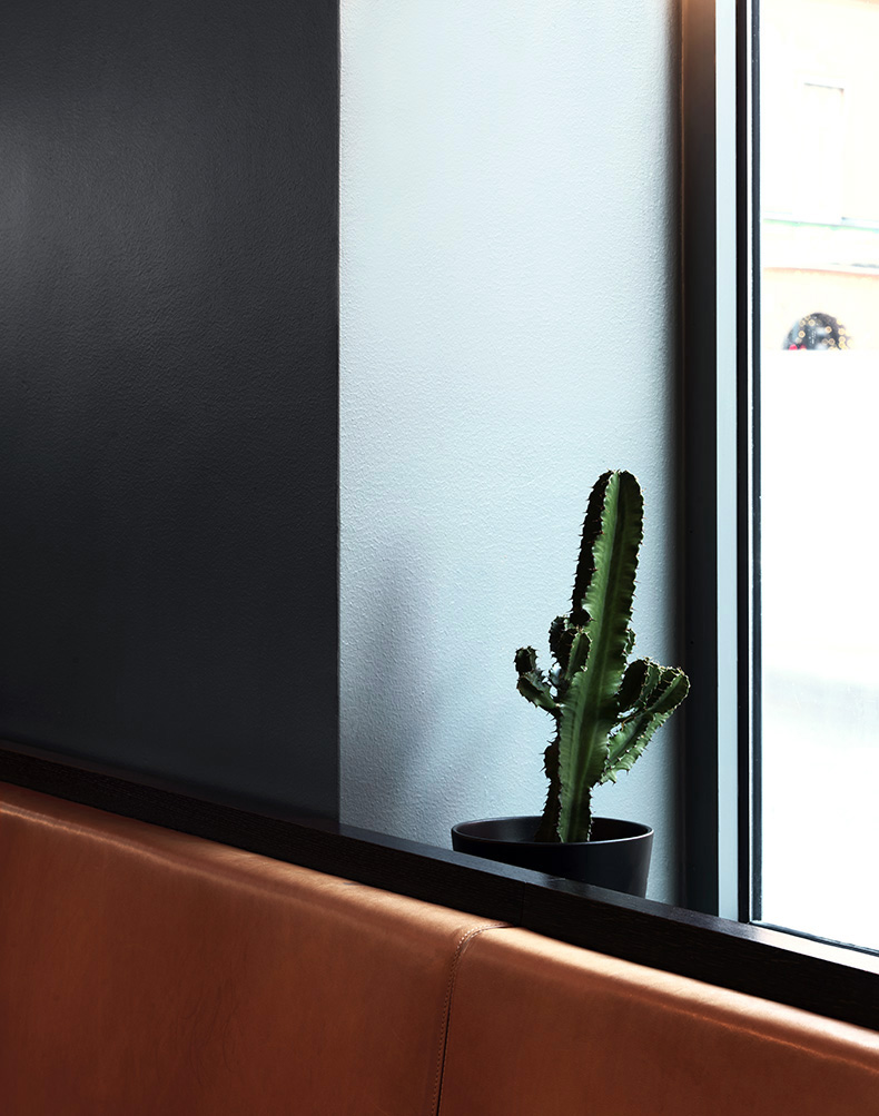 ALCRO Paint